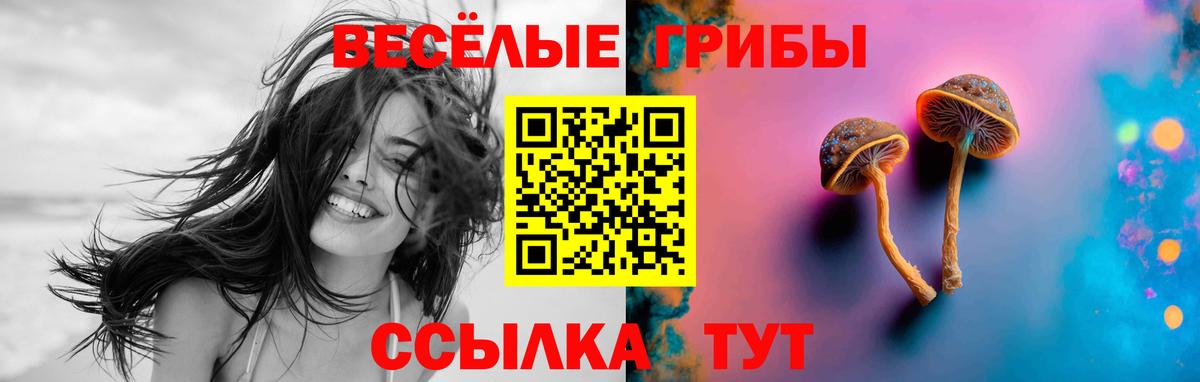 продажа наркотиков  Вход с VPN  Псилоцибиновые грибы ЛСД  Вольск  Галлюциногенные грибы мухоморы 
